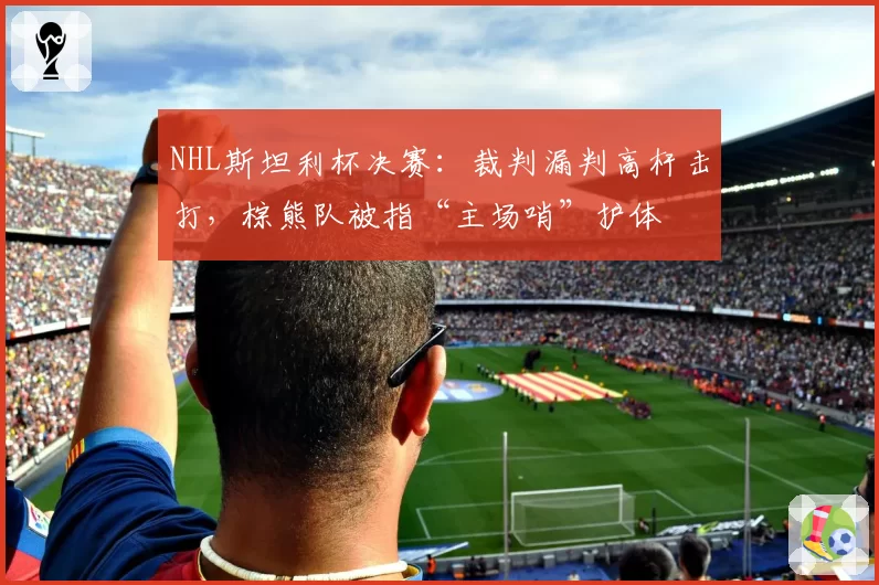 NHL斯坦利杯决赛:裁判漏判高杆击打,棕熊队被指“主场哨”护体