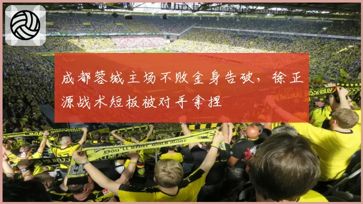成都蓉城主场不败金身告破,徐正源战术短板被对手拿捏