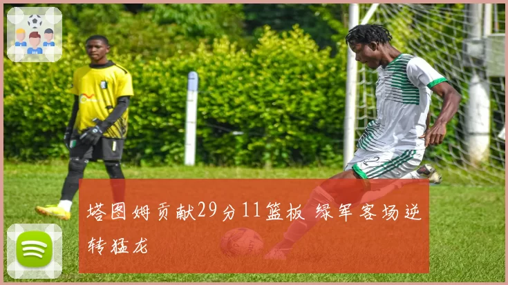 塔图姆贡献29分11篮板 绿军客场逆转猛龙