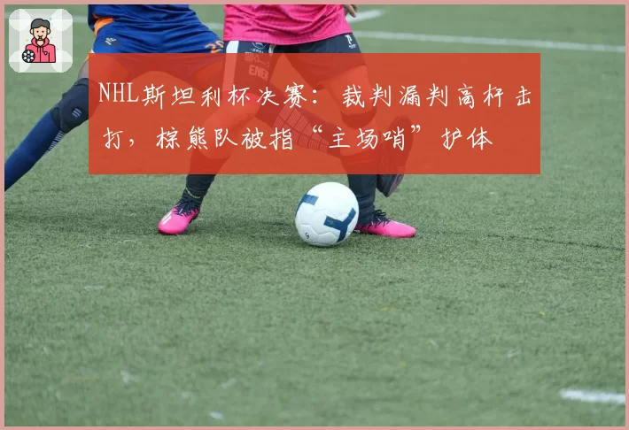 NHL斯坦利杯决赛:裁判漏判高杆击打,棕熊队被指“主场哨”护体